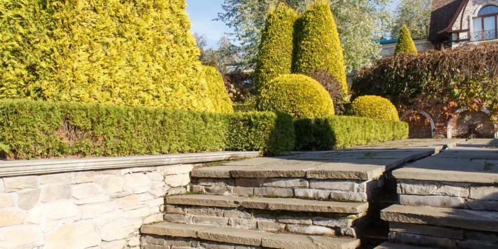 cottage-garden-with-stone-stairs-and-retaining-wal-2026-03-23-23-51-25-utc (1)